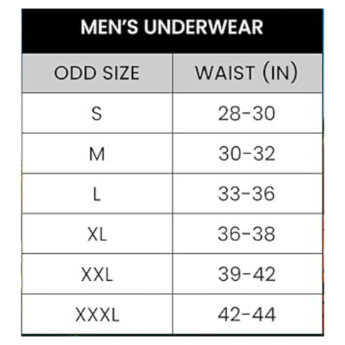 Back To The Future Boxer Briefs